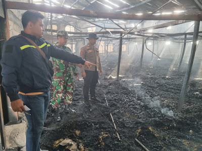 Kandang Ayam di Gubug Terbakar, 16.000 Ayam Ikut Terpanggang