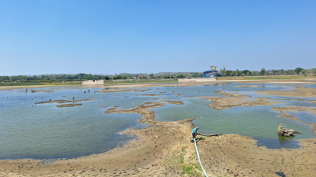 Memasuki Puncak Kemarau, Bendung Dumpil Mulai Mengering